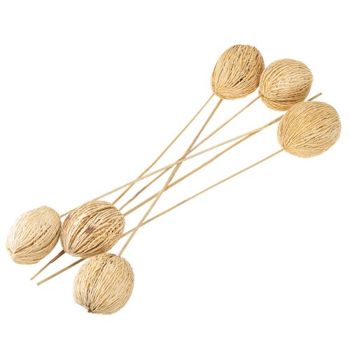 Article Boule de Mintolla blanchie 8cm - 10cm L46cm 6 pcs