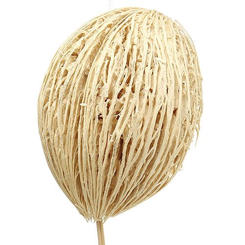 Article Boule Mintolla blanchie 8cm - 10cm L46cm 6pcs