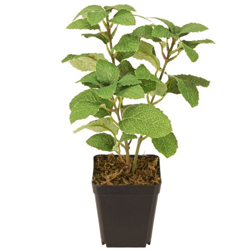 Floristik24 Menthe en pot Herbes artificielles Plante verte H24cm