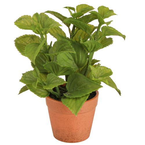Article Menthe en pot Herbes artificielles Plantes artificielles 18cm 2pcs
