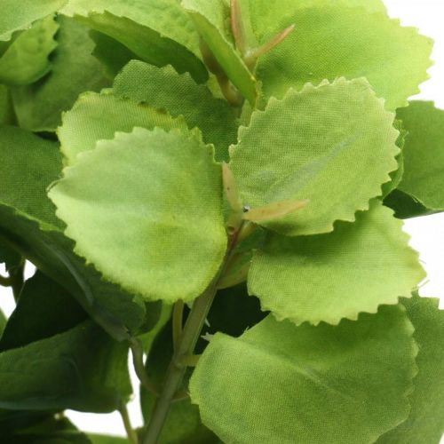 Floristik24 Vert menthe artificielle, branches de menthe déco, fleur en soie L32cm 3pcs