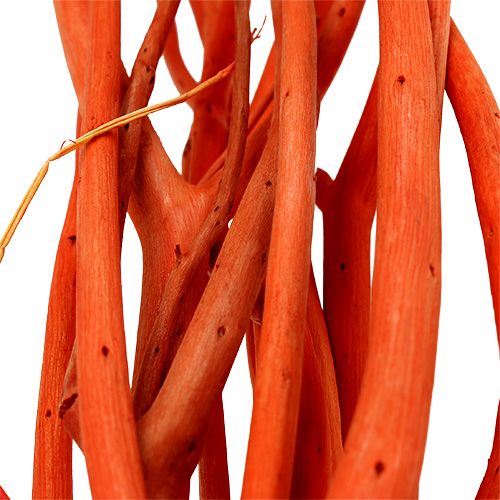 Floristik24 Branches de mitsumata oranges 34-60 cm 12 p.