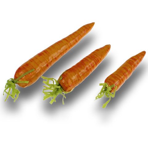 Floristik24 Carottes et carottes artificielles 20 pcs