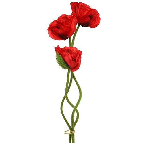 Floristik24 Coquelicot rouge 58cm - 74cm 3pcs