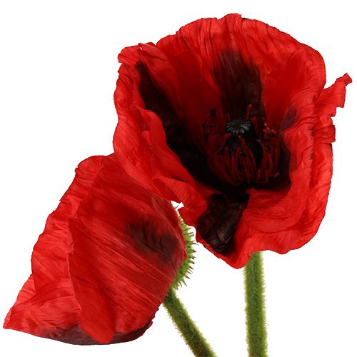 Article Rouge coquelicot 58cm - 74cm 3 pcs