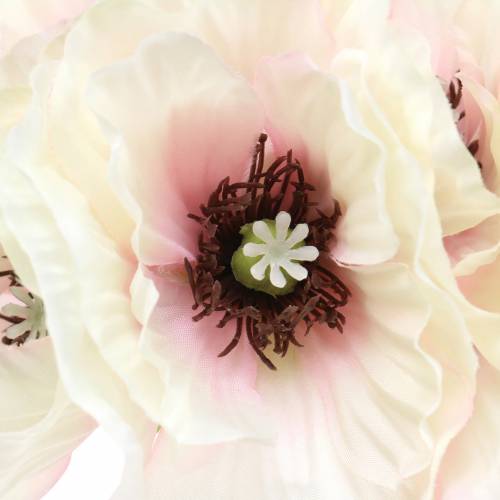 Floristik24 Coquelicot blanc, rose 29cm 6pcs