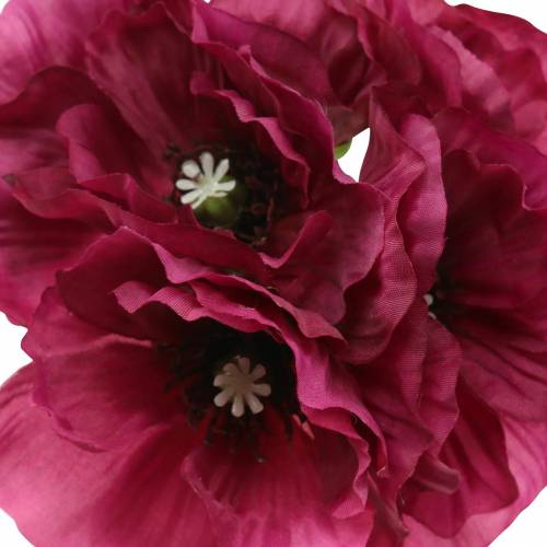 Floristik24 Coquelicot violet 29cm 6pcs