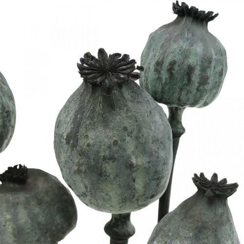 Article Capsules de coquelicot décoration de coquelicot fleurie sèche de couleur noire 50-60cm 5 pcs