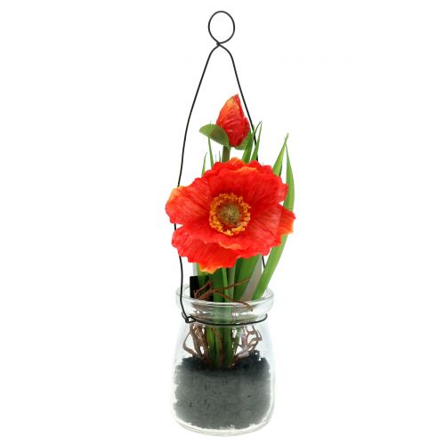 Article Graines de pavot orange dans un verre H22cm