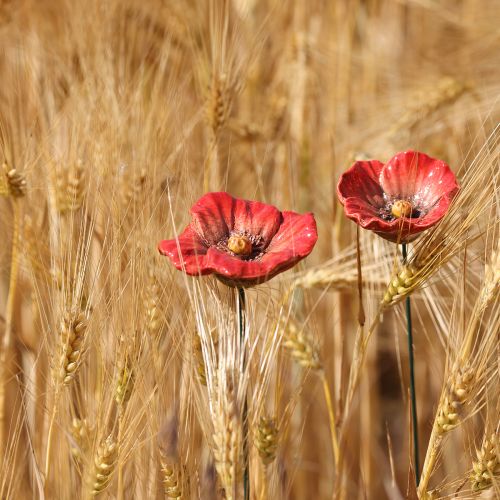 Floristik24 Coquelicots en céramique, décoration romantique pour le printemps, jardin et parterres de fleurs, 31 cm, lot de 6.