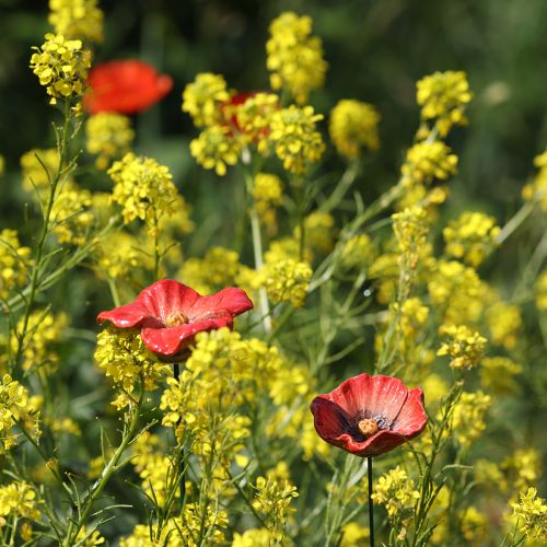 Article Tuteur de jardin en céramique en forme de coquelicot, design original pour massifs de fleurs, 52 cm, lot de 2