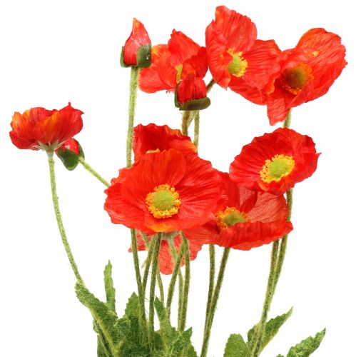 Floristik24 Coquelicot orange 60cm 3pcs