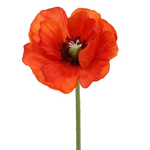 Floristik24 Bouquet coquelicot L28cm