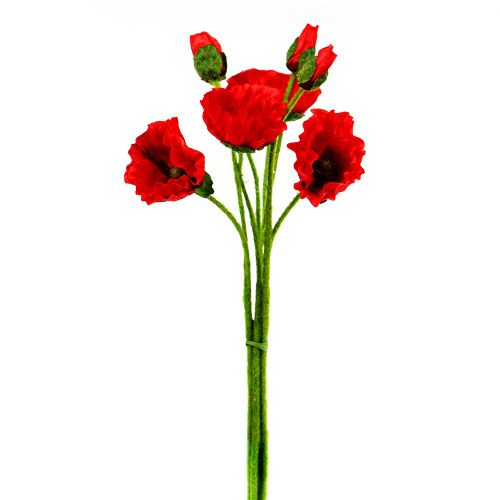 Floristik24 Coquelicots Rouge Ø7cm L48cm 4pcs
