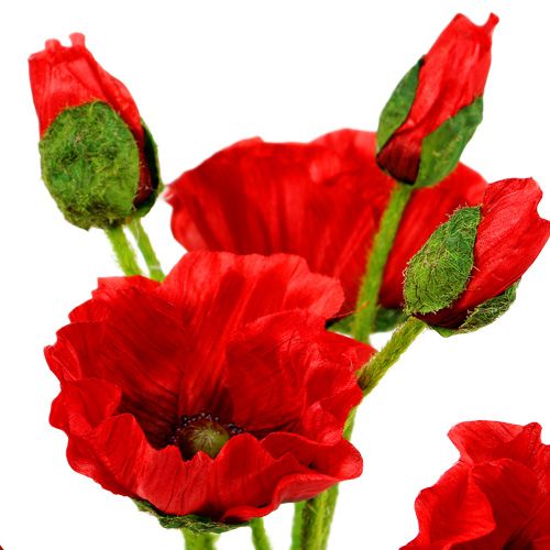 Floristik24 Coquelicots Rouge Ø7cm L48cm 4pcs