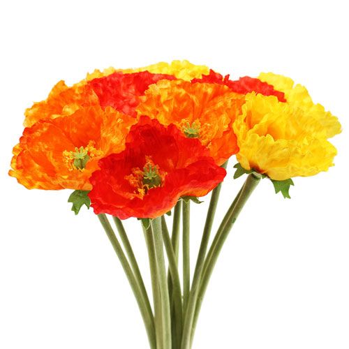 Floristik24 Bouquet de pavot 33cm