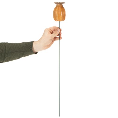 Article Tuteur de jardin en forme de capsule de pavot pour une décoration élégante de jardin, massif de fleurs ou balcon, 60 cm, lot de 2