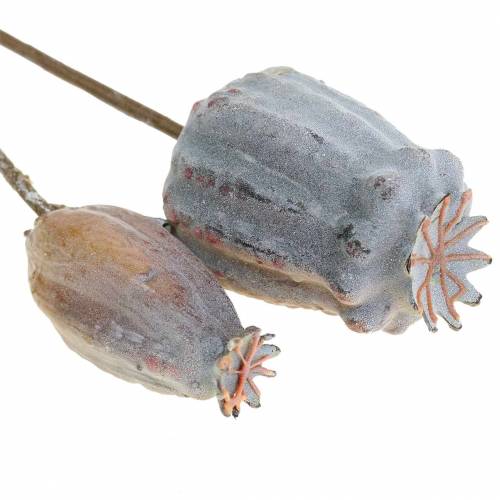 Floristik24 Capsules de pavot artificiel jaune, marron 6pcs