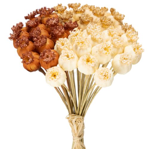Capsules de pavot artificielles séchées, bouquet de trois couleurs, 40 cm, 45 pièces acheter | Floristik24.be