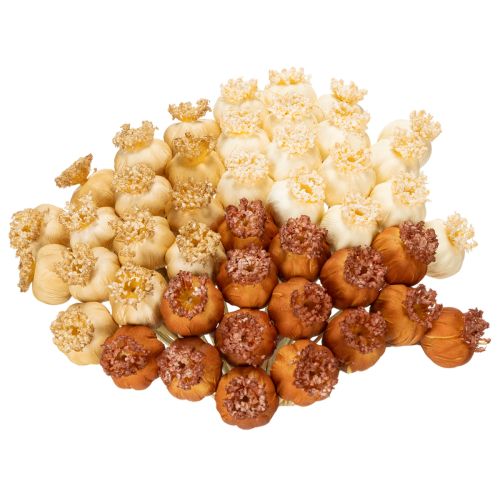 Capsules de pavot artificielles séchées, bouquet de trois couleurs, 40 cm, 45 pièces | Floristik24.be