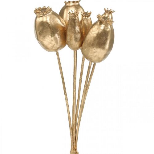 Floristik24 Capsules de coquelicot décoration coquelicot artificiel doré décoration de Noël 38cm 6pcs