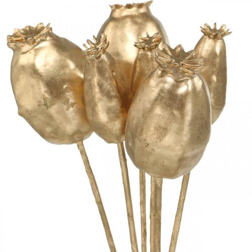 Floristik24 Capsules de coquelicot décoration coquelicot artificiel doré décoration de Noël 38cm 6pcs