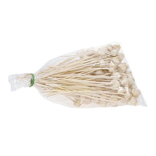 Floristik24 Têtes de pavot blanchies 100 pcs