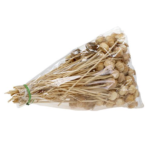 Floristik24 Têtes de pavot nature 100 pcs