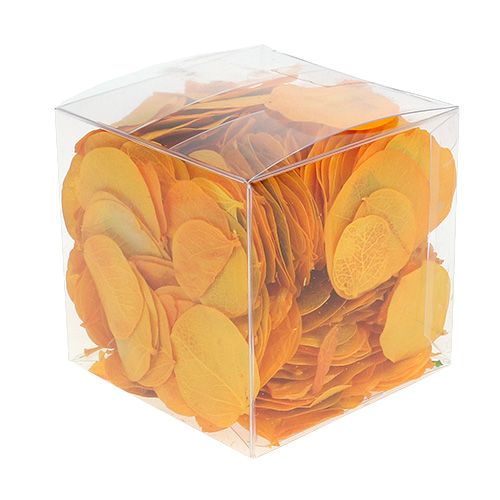 Floristik24 Feuilles de Moneta jaune d'or 50g