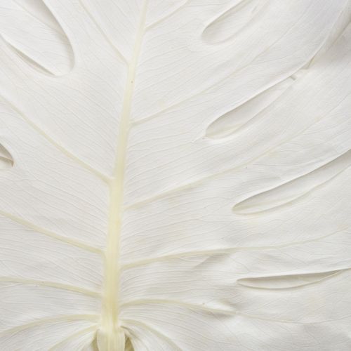 Article Feuilles de Monstera blanchies décoratives pour fenêtre H40cm 5 pcs
