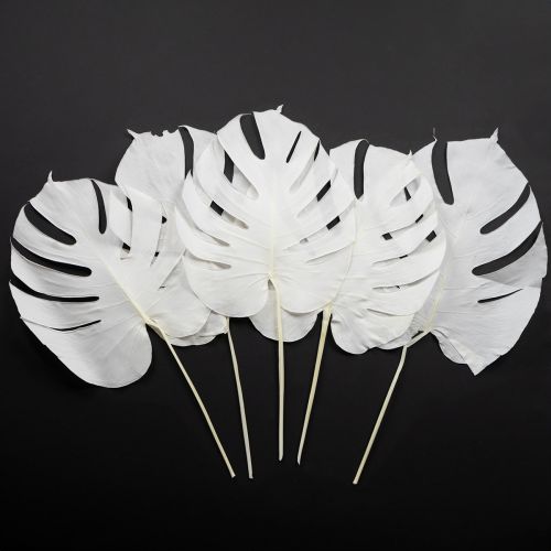 Article Feuilles de Monstera blanchies décoratives pour fenêtre H40cm 5 pcs