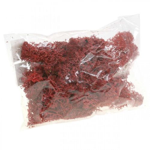 Article Mousse décorative pour travaux manuels Mousse naturelle de couleur rouge en sachet de 40g