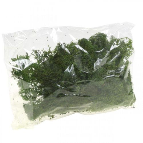 Floristik24 Mousse décorative pour travaux manuels Mousse naturelle stabilisée vert foncé 40g