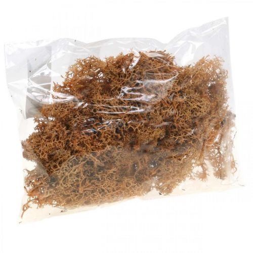 Article Mousse décorative pour l'artisanat Mousse naturelle de couleur orange conservée 40g