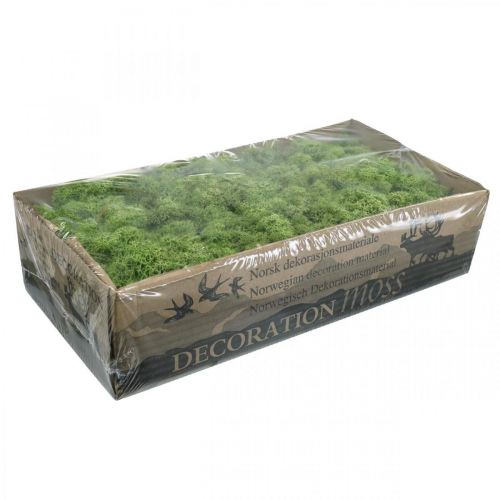 Article Mousse d&#39;Islande vert mousse 400g