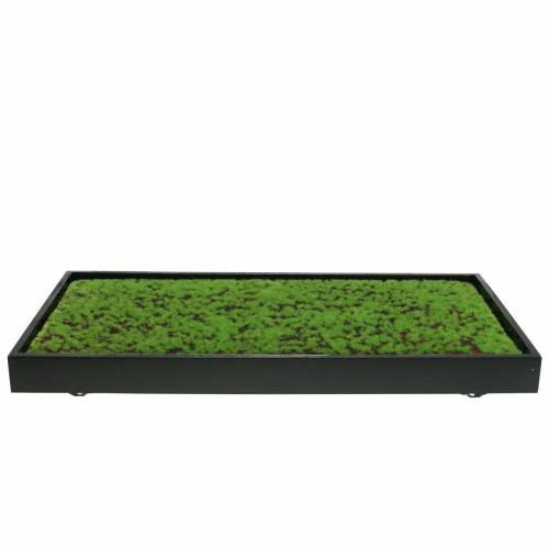 Article Mousse murale dans un cadre vert 60x30cm Décoration murale en mousse