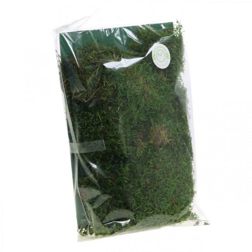 Floristik24 Mousse décorative pour travaux manuels vert, vert foncé 100g