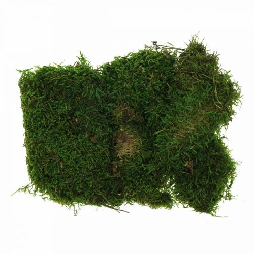 Floristik24 Mousse décorative pour travaux manuels vert, vert foncé 100g