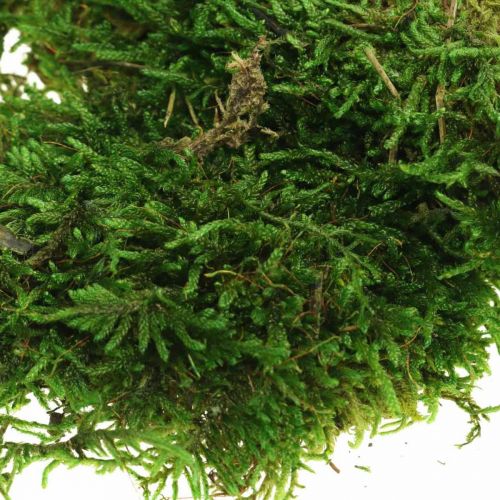 Floristik24 Mousse décorative pour travaux manuels vert, vert foncé 100g