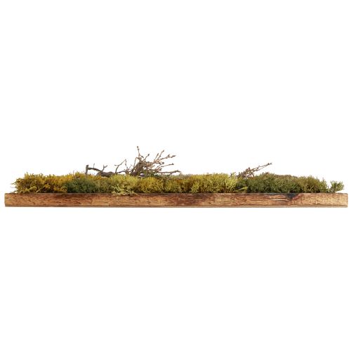 Article Tableau en mousse véritable mousse préservée et branches naturelles 60×40cm