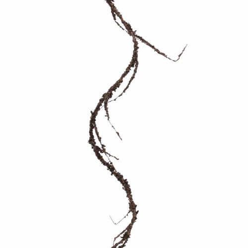 Floristik24 Guirlande Mousse Marron L180cm