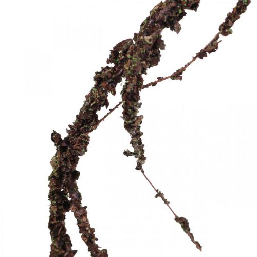 Floristik24 Guirlande Mousse Marron L180cm
