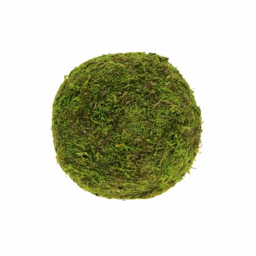 Floristik24 Boule en mousse Ø9cm 6pcs