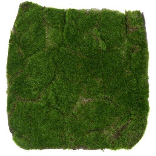 Article Tapis de Mousse Vert 35cm x 35cm