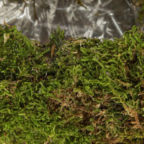 Article Bol à plantes sur socle mousse demi-lune décorative 40×15×30cm