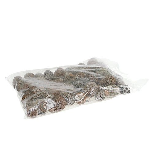 Floristik24 Cônes Murii naturels 500g