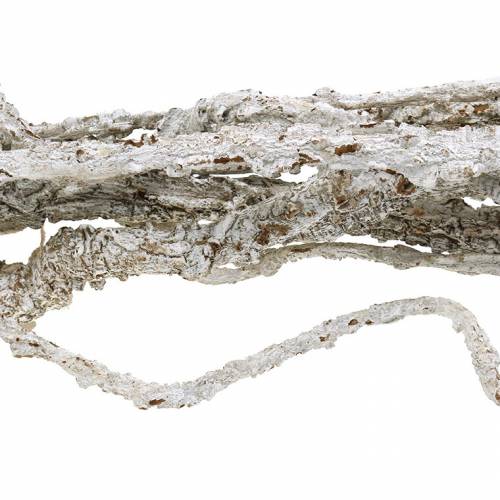 Floristik24 Branches de chêne-liège Branches de Muruku blanc 100cm 10 pcs