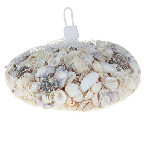 Article Décoration de coquillages mini coques coquilles d&#39;escargots 1–3 cm 340 g