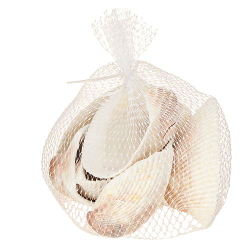 Article Coquillages décoratifs coquillages blancs marron coques 5-7cm 300g