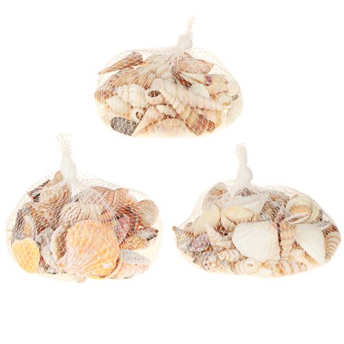 Article Coquillages décoratifs d&#39;escargot de mer naturels 350 g × 3 pièces